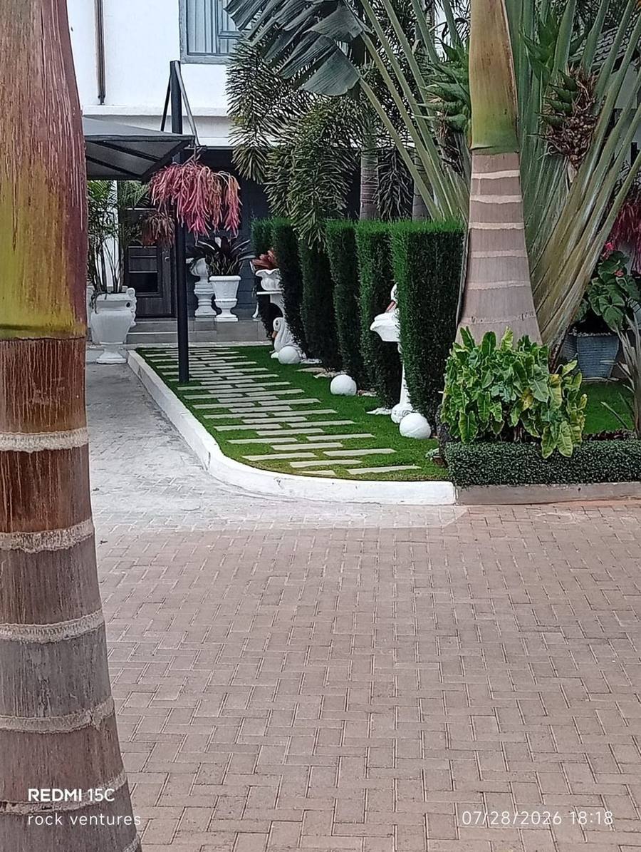 Palm-lined paved driveway